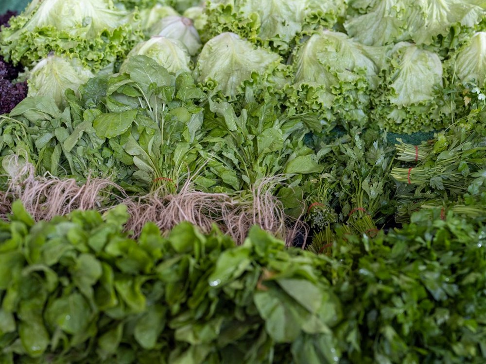 Konuk Düzbag'ı Kendi Projelerinizde Kullanmak: Yaratıcılığınızı Serbest Bırakmanın Anahtarı mı? 75 VgGgsm8CU0arv7Ku7AbDCQ