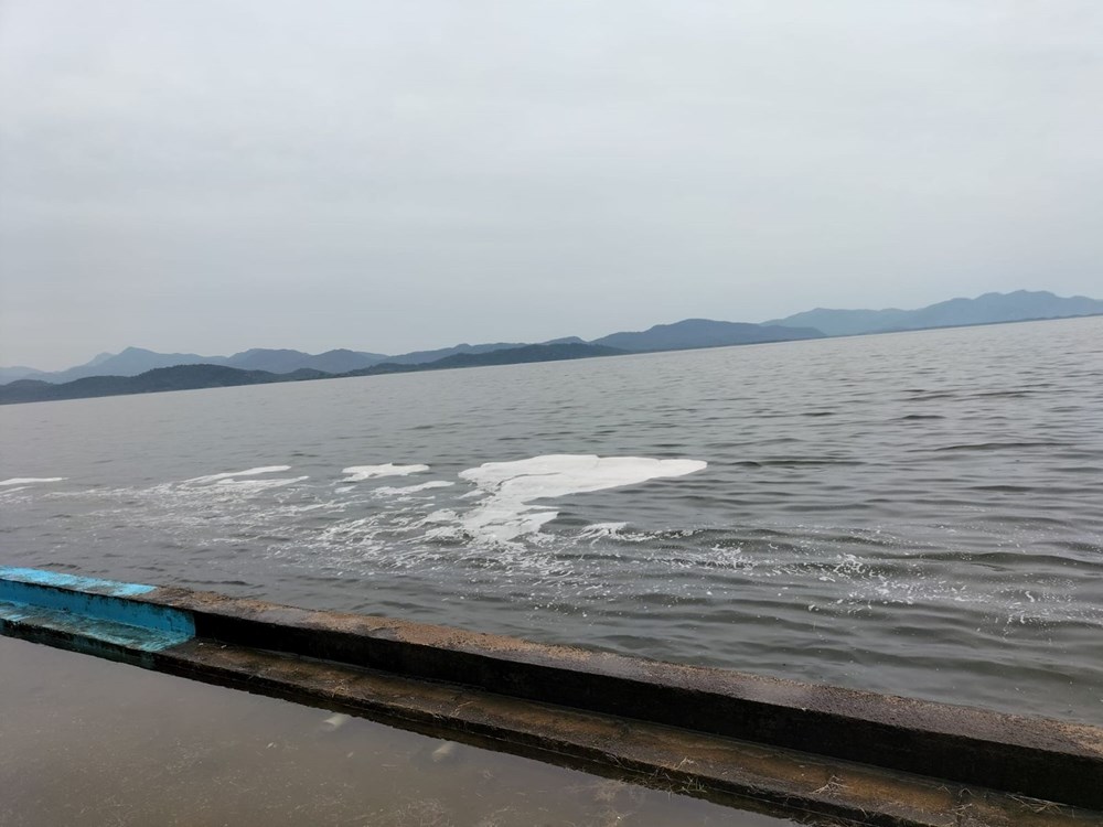 Köyceğiz Gölü’ndeki müsilaj huzursuz etti 73 Vhv2Ek0ZS0qCsa4mZf2waA