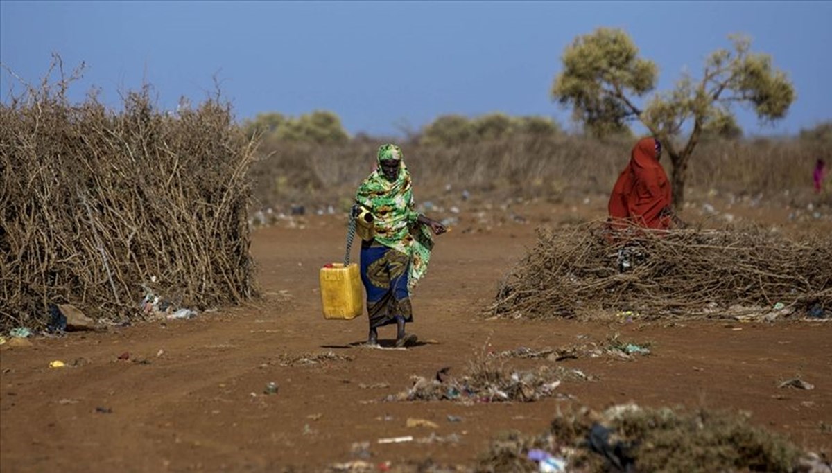 Kuraklıktan etkilenen Somalililere hayvancılık sigortası umut oldu Kuraklıktan etkilenen Somalililere hayvancılık sigortası umut oldu