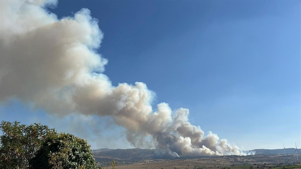 Uşak'taki orman yangını kontrol altında - 9