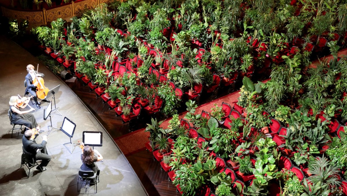 İzleyici yerine saksılar konuldu