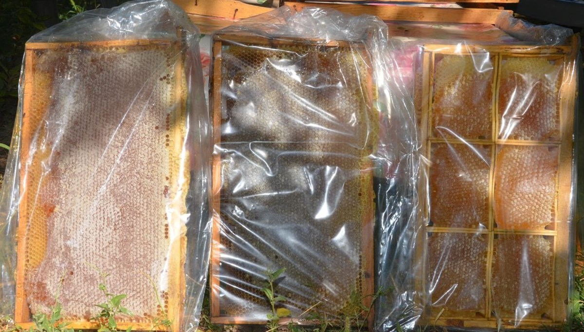 Bin 200 TL'den satılıyor: Bu yıl verim yüksek