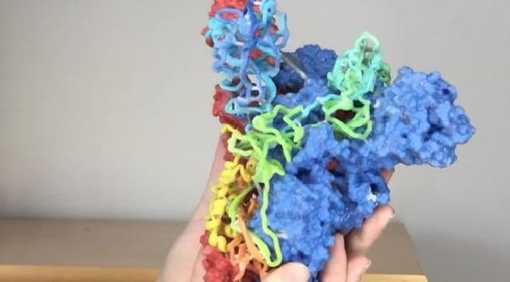 Corona virüsün (Covid-19) fotoğrafları yayınlandı Corona virüsün (Covid-19) fotoğrafları yayınlandı