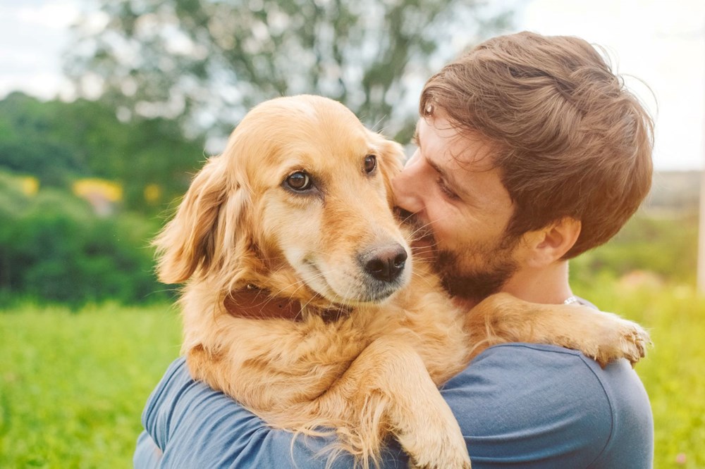 Araştırmalara
göre insanlar köpeklerini kişilik özelliklerine göre seçiyor - 4