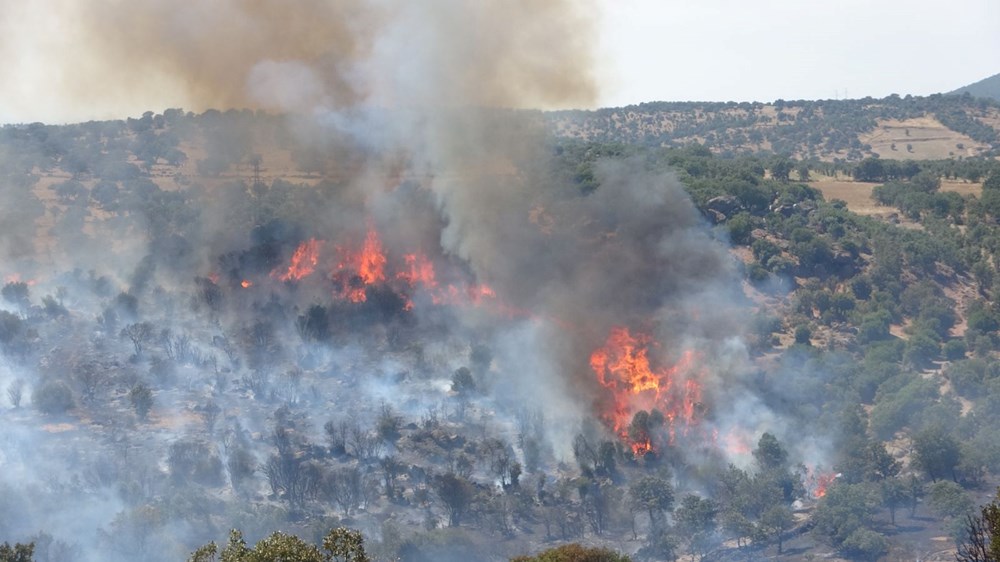 Çanakkale, Tekirdağ ve Diyarbakır'da orman yangını - 4