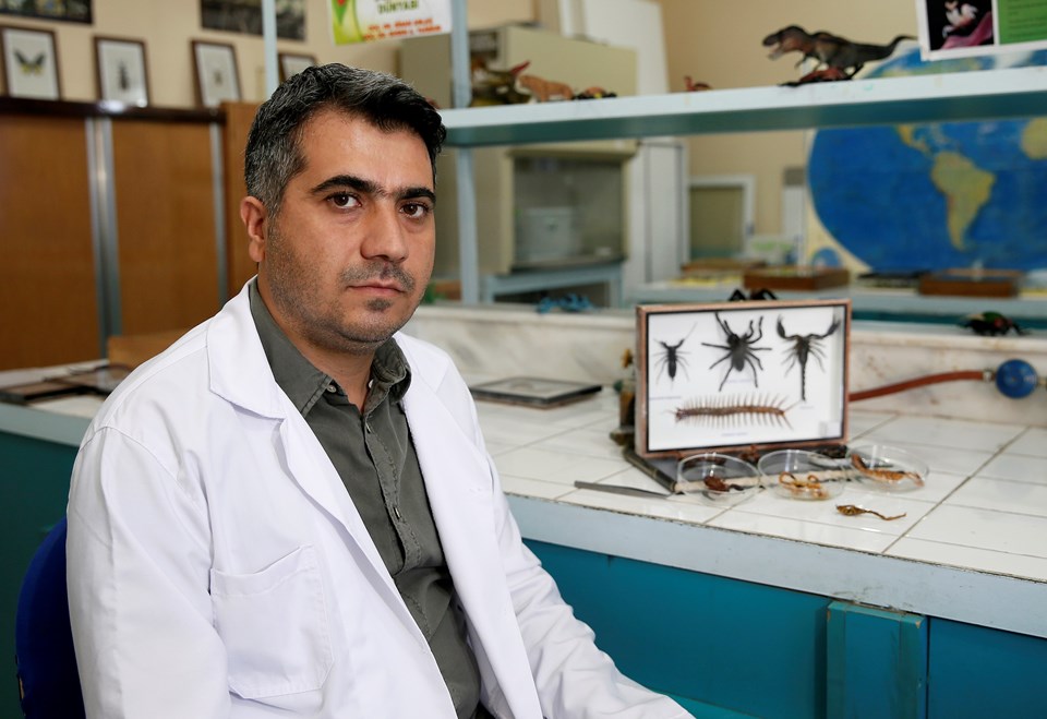 "Et yiyen örümcek" iddiası için "Korkuya gerek yok" açıklaması - 1