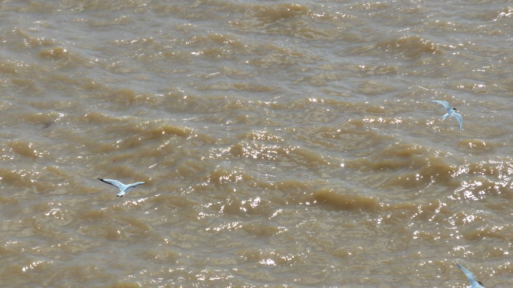 Antalya Sağanağında Deniz Rengi Şoku! 76 VlS637UM8E ANP6Tc9bG6g