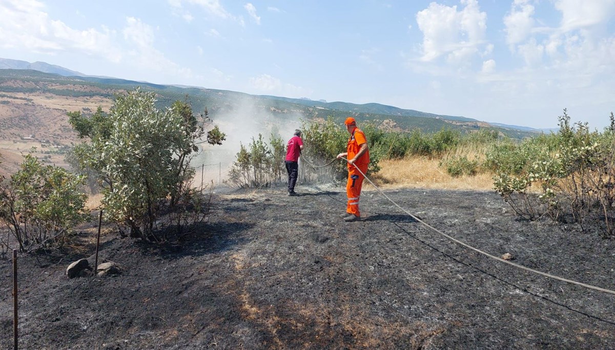 Bingöl'de orman ve örtü yangınları