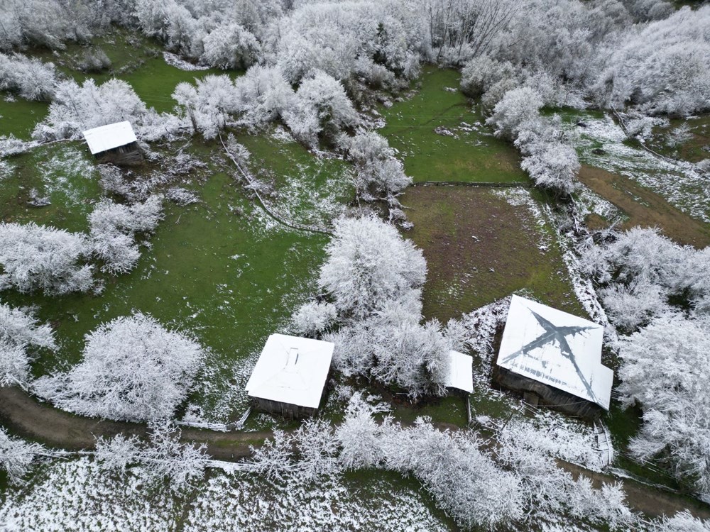 VmU17bzrVUSvItvr4EvcFg