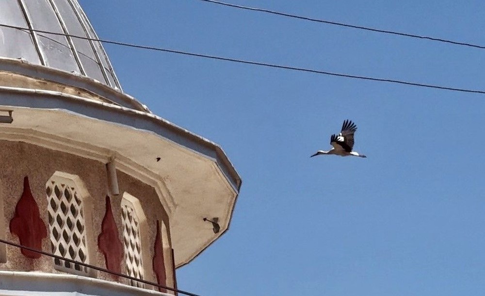 Vmb se2Fi0eI2nVDzhGpmQ