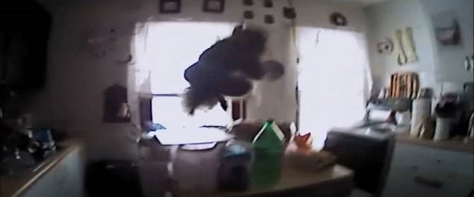 Hemşirelerden yeni doğan bebekle işkence gibi oyun NTV