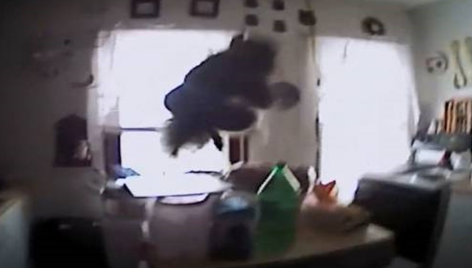 Hemşirelerden yeni doğan bebekle işkence gibi oyun NTV Hemşirelerden yeni doğan bebekle işkence gibi oyun NTV