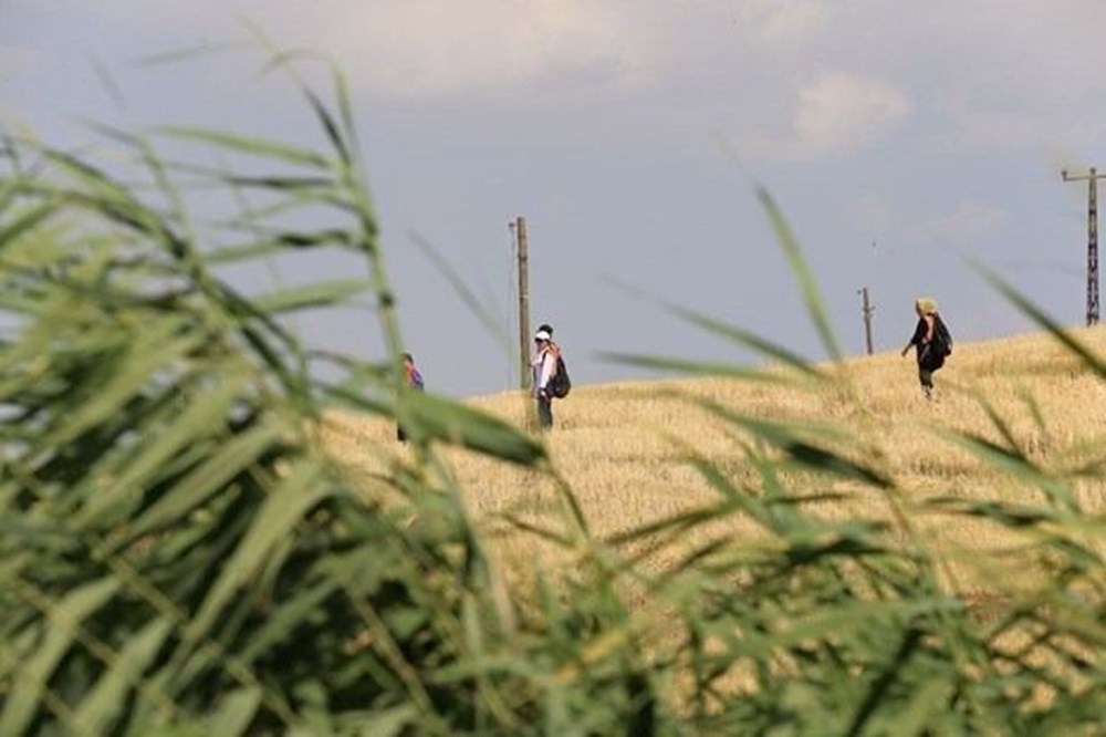 Kayıp Narin'in cansız bedeni bulundu - 6