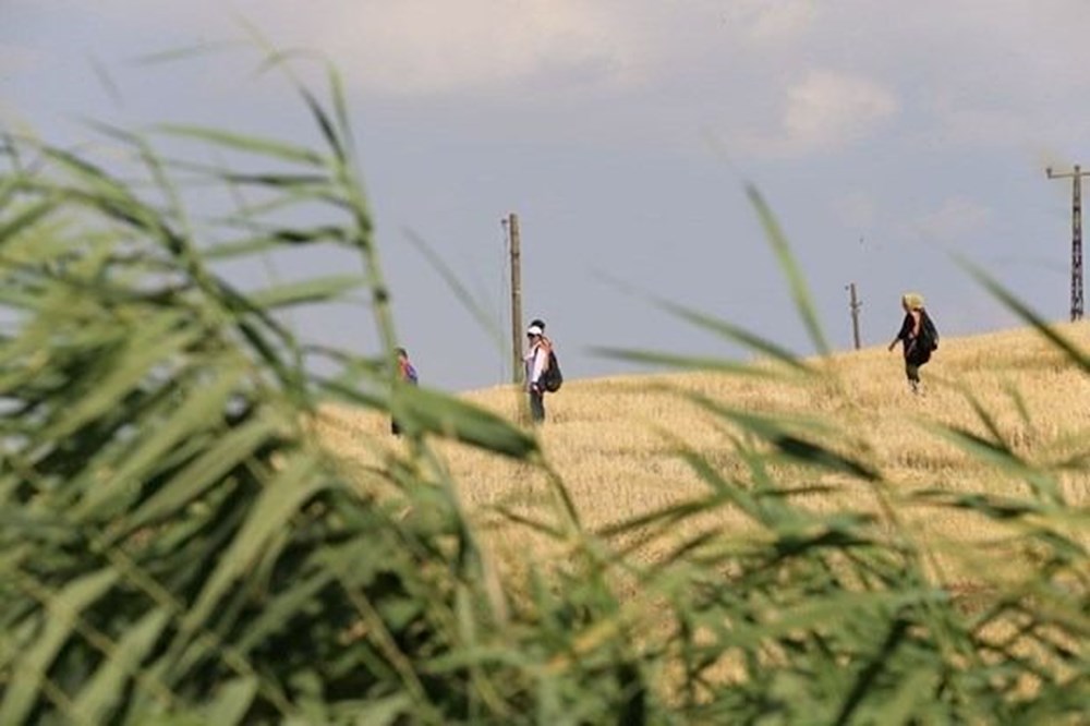 Kayıp Narin'in cansız bedeni bulundu - 8