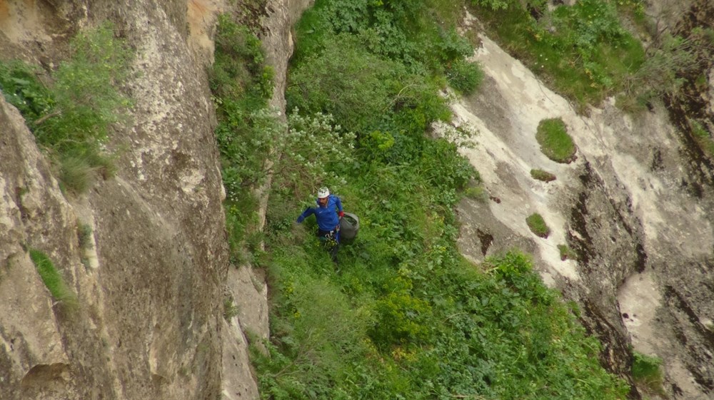 "Yılan otu" olarak da biliniyor, mevte meydan okuyup topluyorlar: Hastalıkların şifası bitki 78 VnnjNBleaE62v GgeYoHZQ