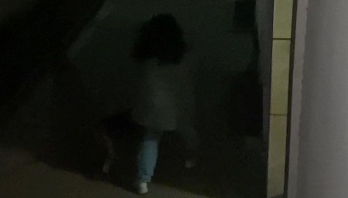 Beylikdüzü'nde pitbull 2 çocuğa saldırdı Beylikdüzü'nde pitbull 2 çocuğa saldırdı