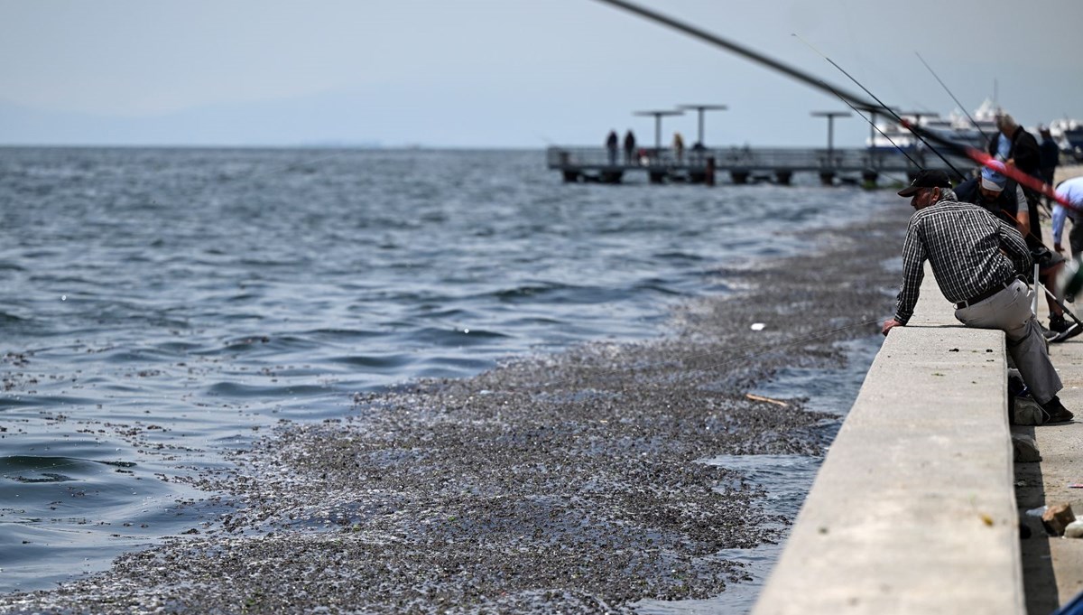 İzmir Körfezi'nin bir bölümü müsilajla kaplandı İzmir Körfezi'nin bir bölümü müsilajla kaplandı