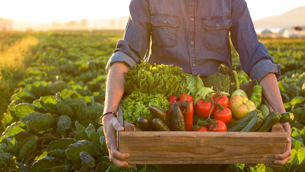 Sağlıklı beslenme için organik ürün şart mı? (Çarşı-Pazar Ekonomi)