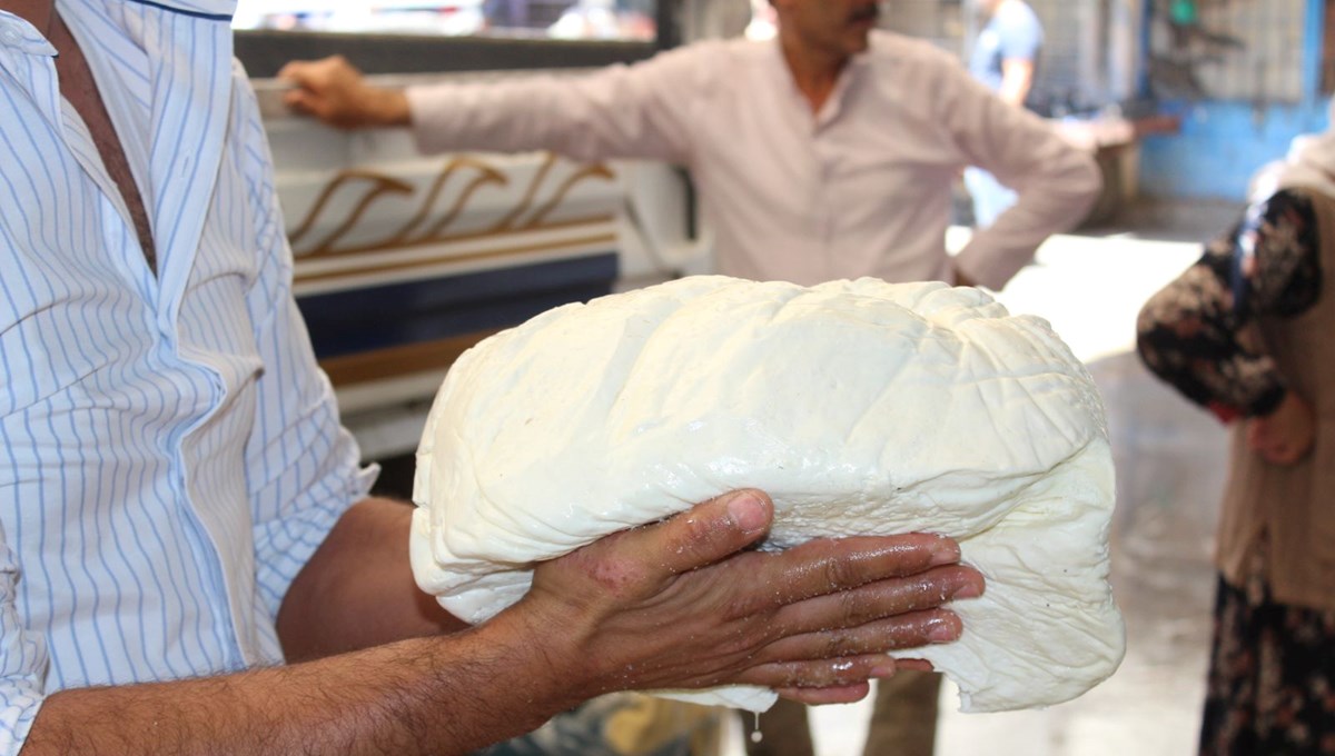 Siirt peynirine yoğun talep: Kilosu 200 TL'den başlıyor