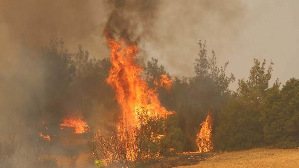 Orman yangınlarıyla mücadele: 3 ilde yangınlar kısmen kontrol altında - 13