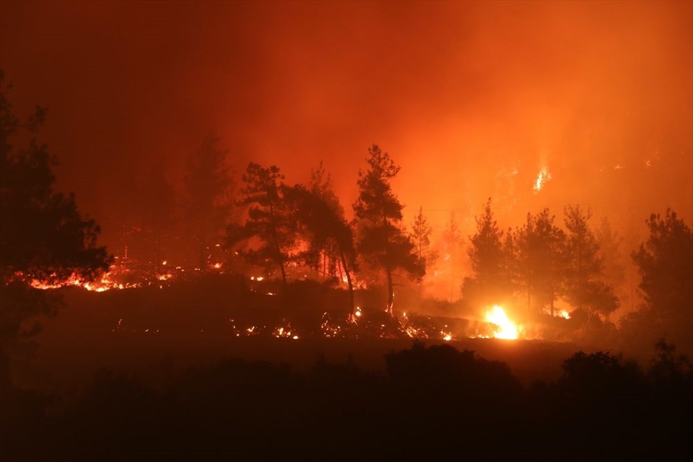 Antalya, Adana, Mersin, Aydın, Muğla, Osmaniye ve Kayseri'de orman yangınları - 40