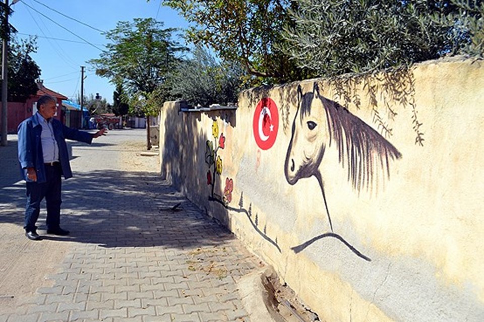 'Picasso Mustafa' köyünü sanat galerisine dönüştürdü - 2