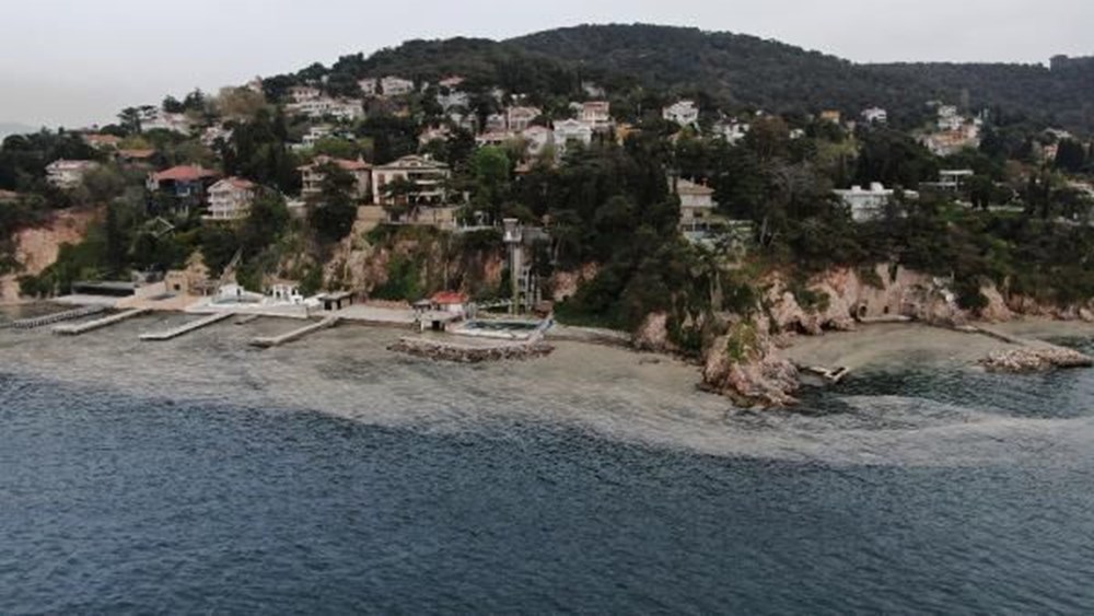 Büyükada'yı 'salya' sardı - 10