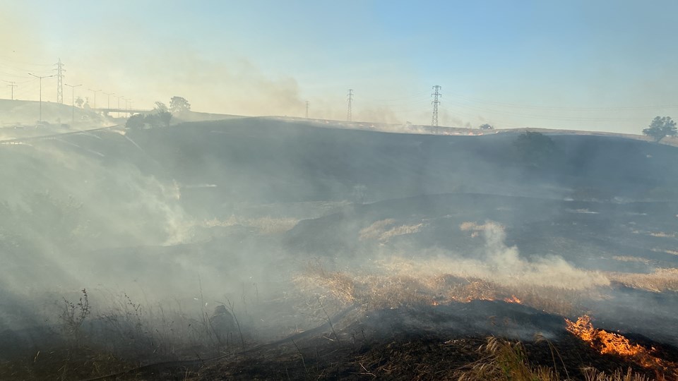 100 dönümlük anız yangını: İstanbul-Edirne yolu trafiğe kapandı - 1