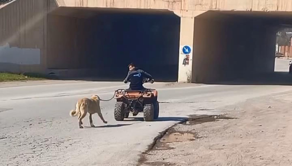 Bursa'da ATV'sine bağladığı köpeğini sürükledi Bursa'da ATV'sine bağladığı köpeğini sürükledi