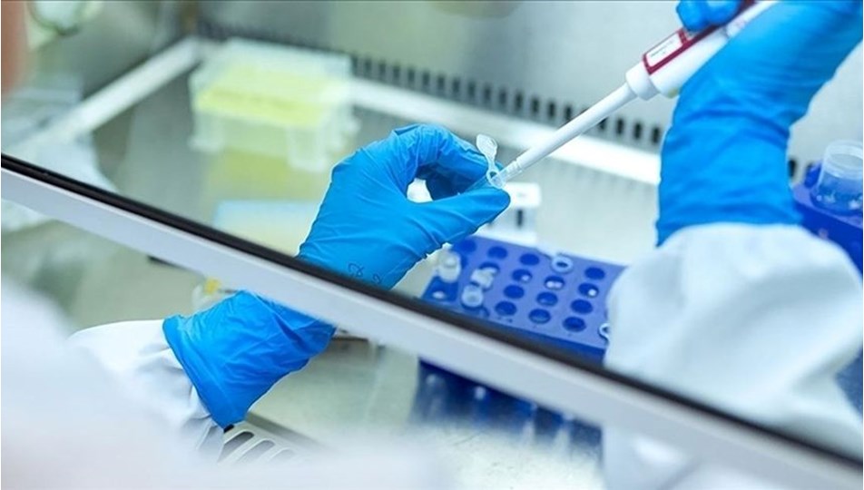 Gizemli hepatit vakaları: "Evcil hayvanlardan bulaşmış olma ihtimali" araştırılıyor