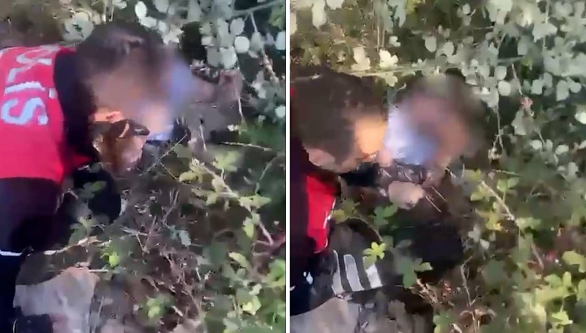 Çalılar arasında yakalandı