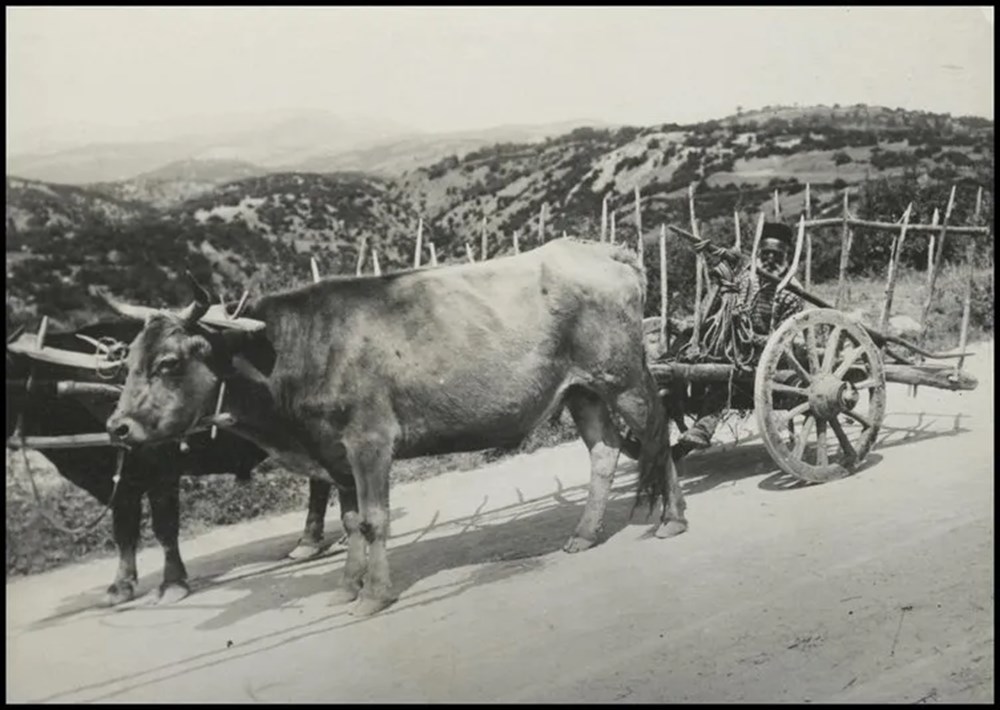 Bilim kurgu değil Türk boylarının 111 yıllık fotoğrafları. Gizemli heykeller, gelişmiş aletler, tanıdık kıyafetler (106 fotoğrafla gizemli Türk tarihi) - 20