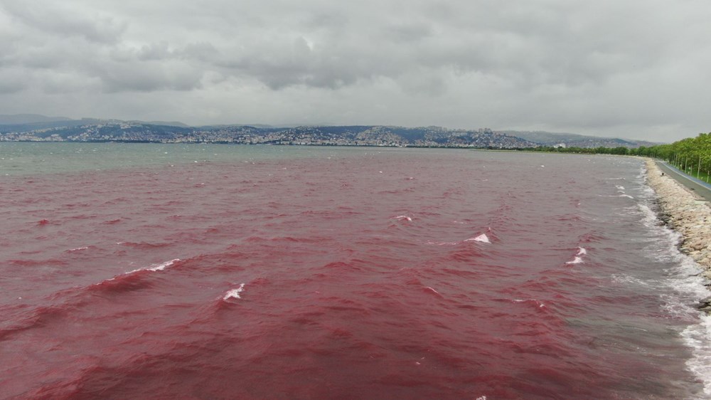 Kocaeli'de Kilez Deresi'ni atık su ile kırmızıya boyayan firmaya ceza - 10