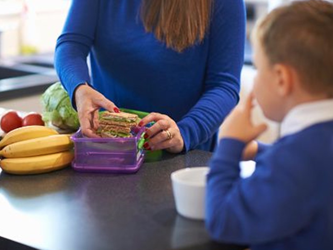Beslenme Cantasinda 4 Temel Besin Grubu Bulunmali Saglik Haberleri Ntv