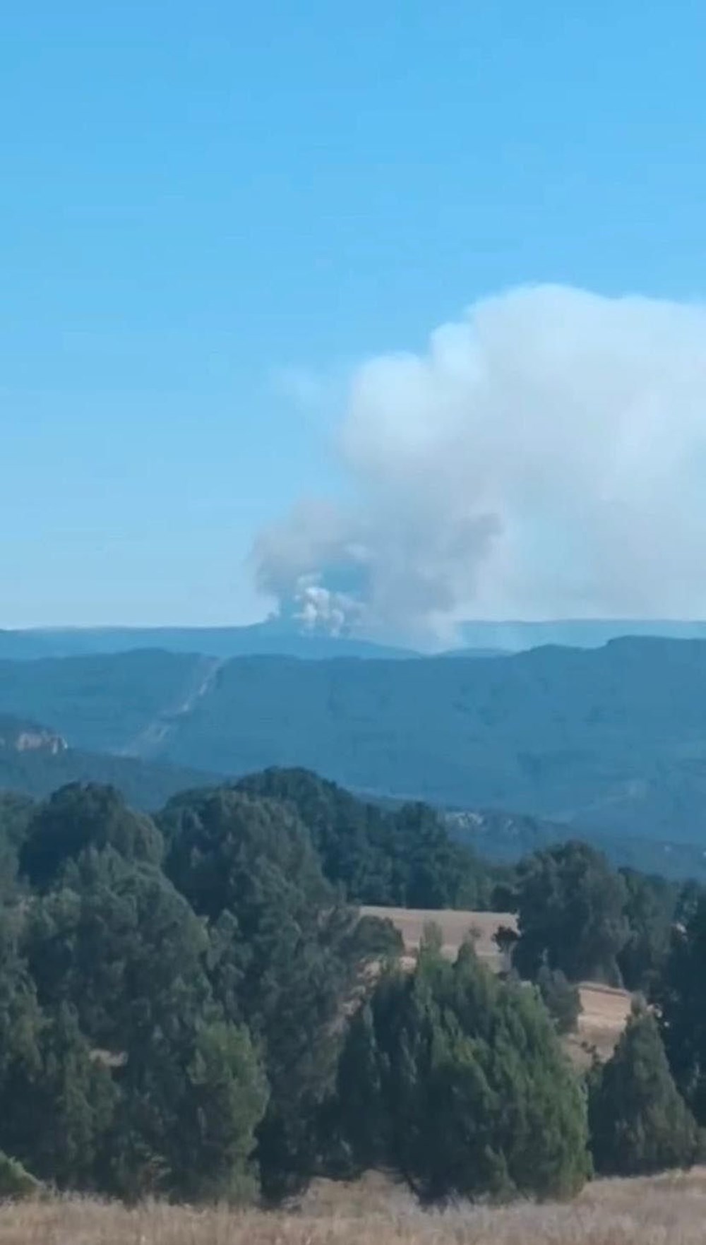 Orman yangınlarıyla mücadele | 8 noktada yangın devam ediyor, yerleşim yerleri tehdit altında - 33