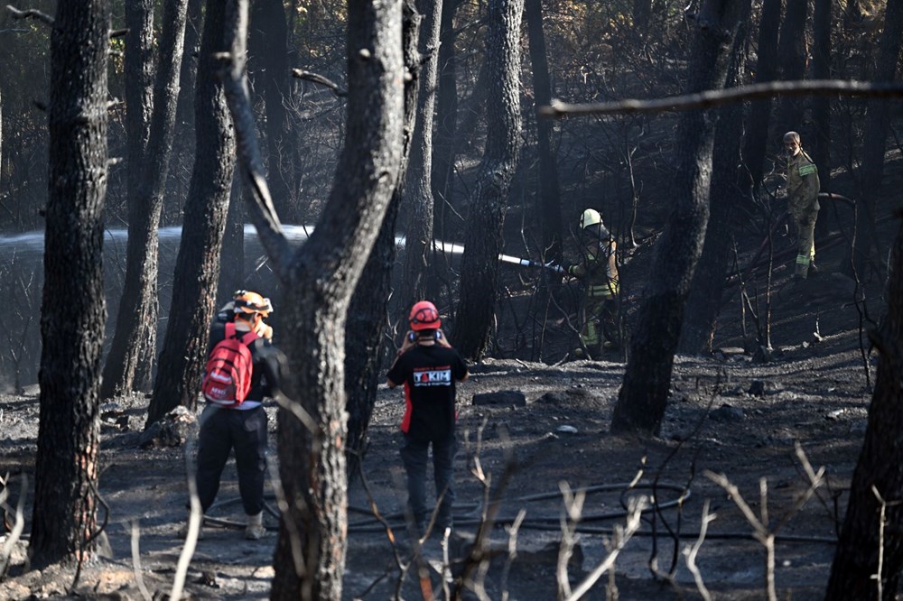 İstanbul Maltepe'de orman yangını - 21