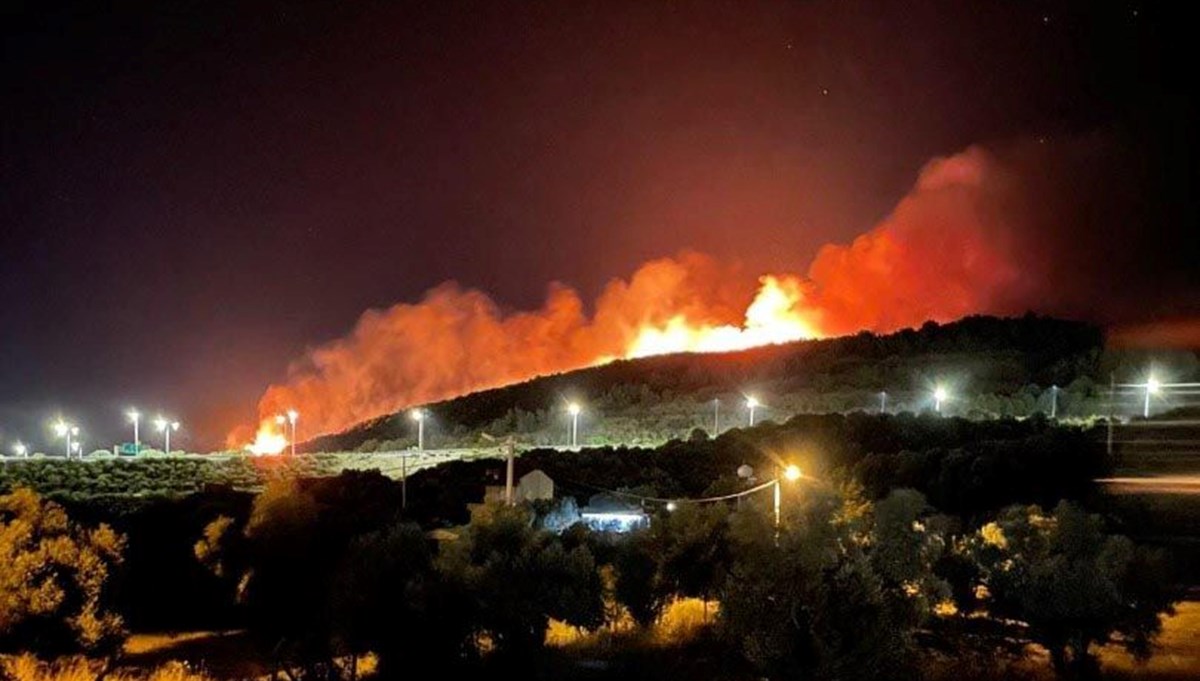 İzmir'in Urla ilçesinde orman yangını