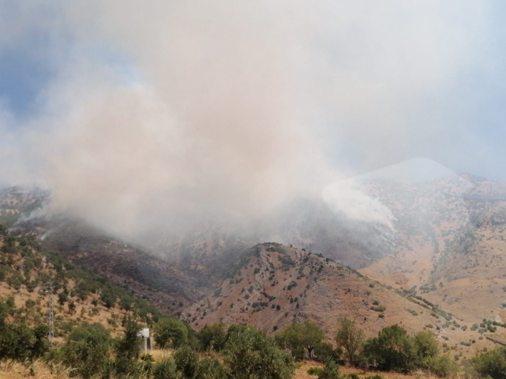 Yedi şehirde orman yangını: Sakarya'daki yangın büyüdü, Bilecik'e sıçradı - 9