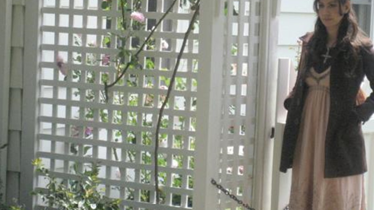 Portobello Cadisi Beyazperdede Ntv