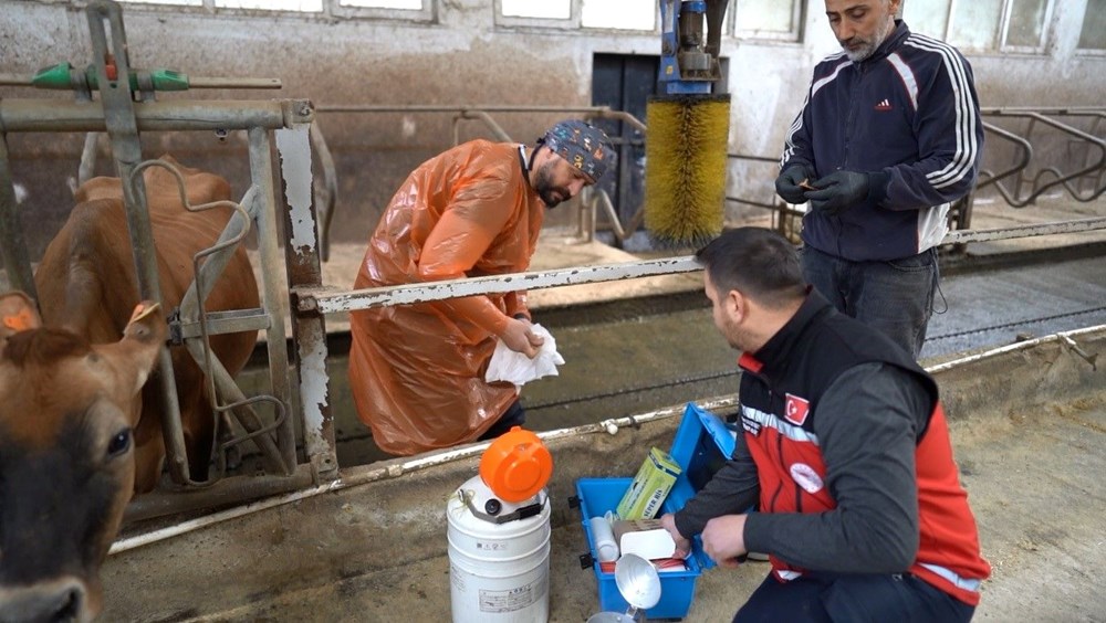 Trabzon'da Hayvancılıkta Yeni Dönem: Jersey Sperması Umut Oldu 73 W5EvT3QPtkGrX KDyvreSQ