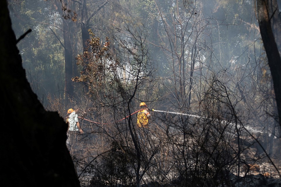 Antalya'da orman yangını - 1