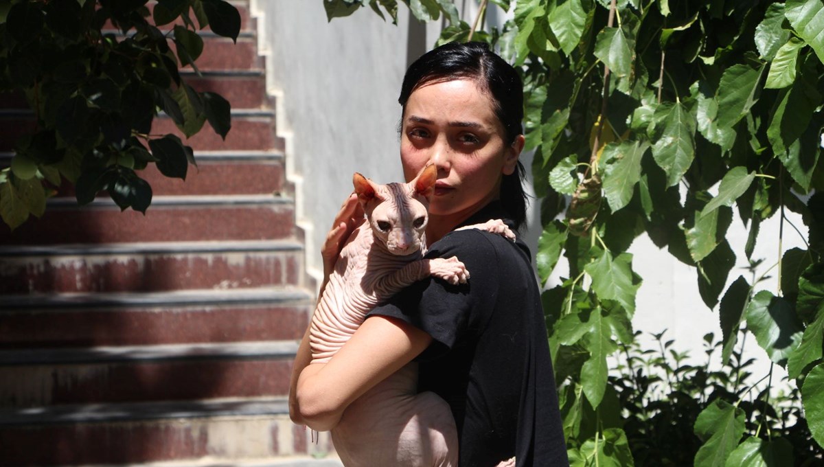 Kaybolan kedisini bulana 2 bin dolar ödül verdi