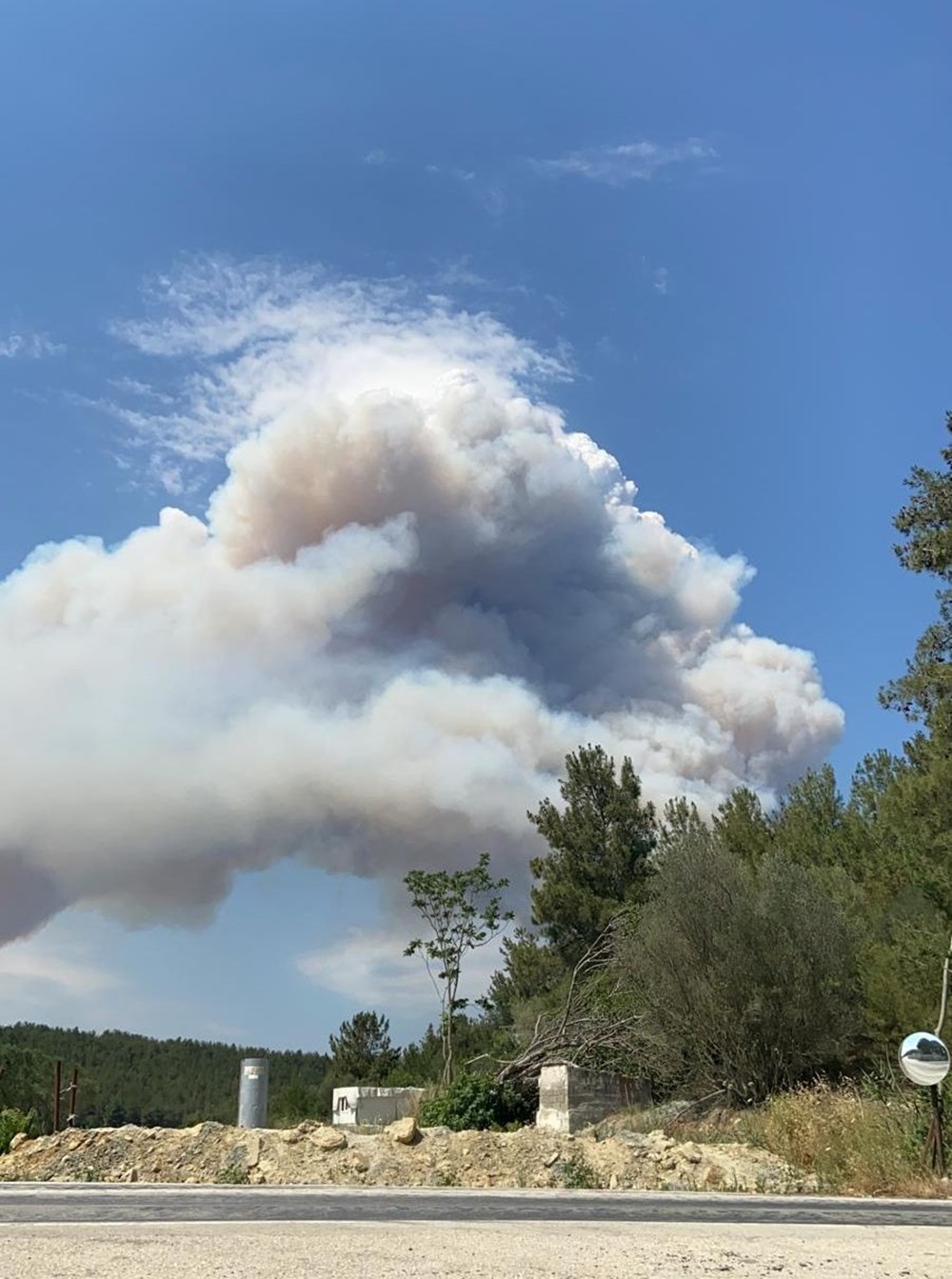 Gelibolu Yarımadası'nda orman yangını - 12