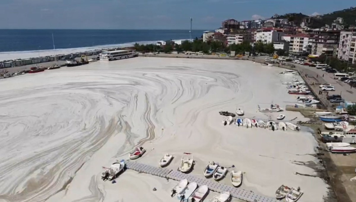 Çınarcık sahili deniz salyasıyla kaplandı