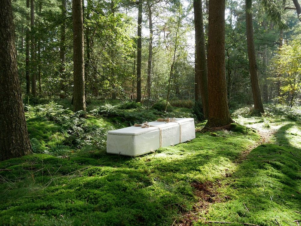 Ölümün en çevreci yolu: Cesetten beslenen canlı tabut - 2