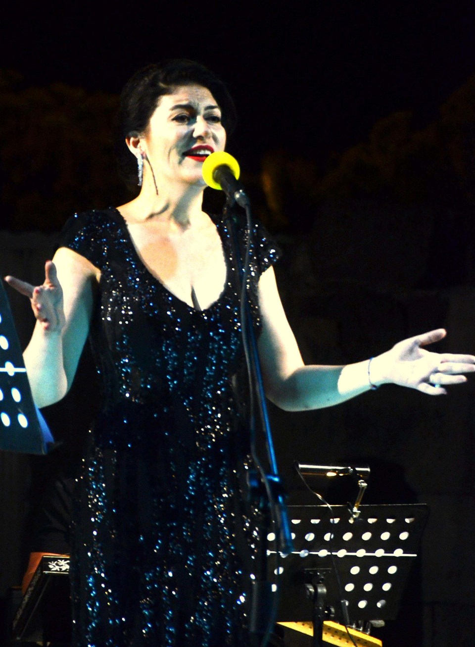 Bodrum'da klasik Türk müziği gecesi - 1
