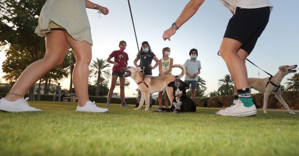 Köpek adları da corona virüsten etkilendi - 3