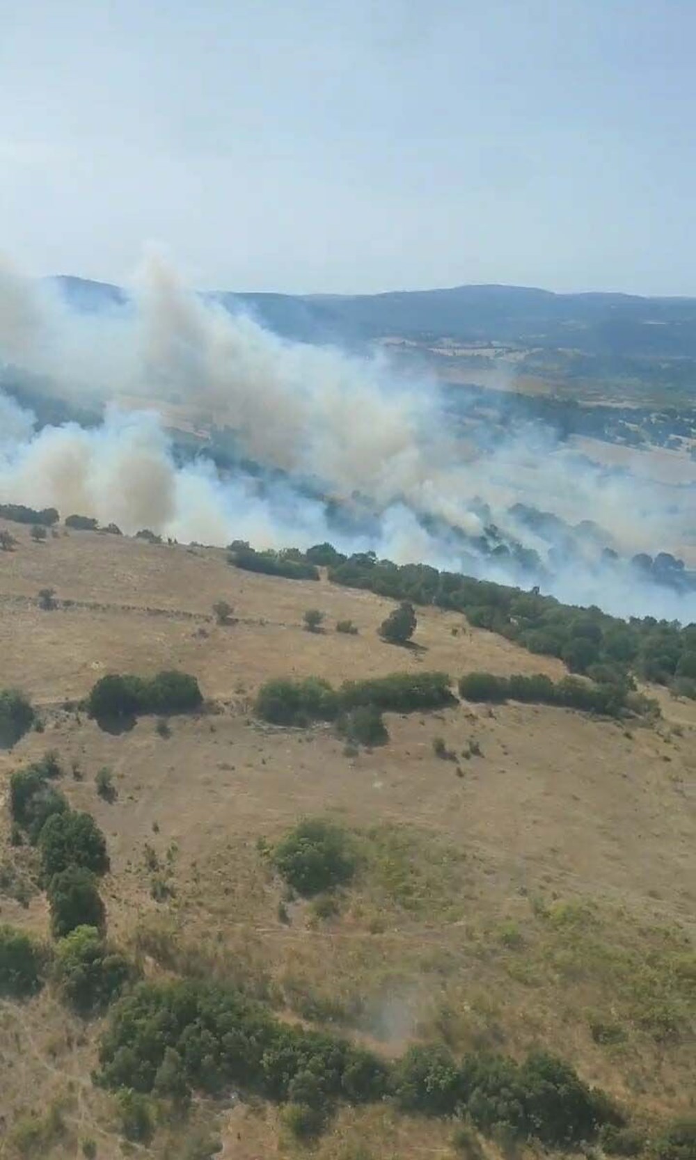 Balıkesir'de tarım arazisinde yangın - 4