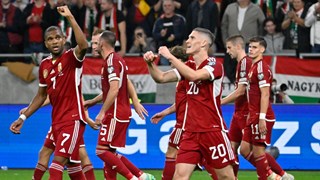 Milli maçlar ne zaman? İşte Macaristan ve Avusturya maçı tarihleri