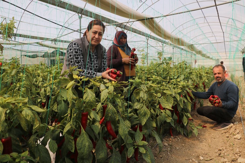 Zam Şampiyonu: Aynı Ürün, Cep Yakan Yeni Fiyat! 77